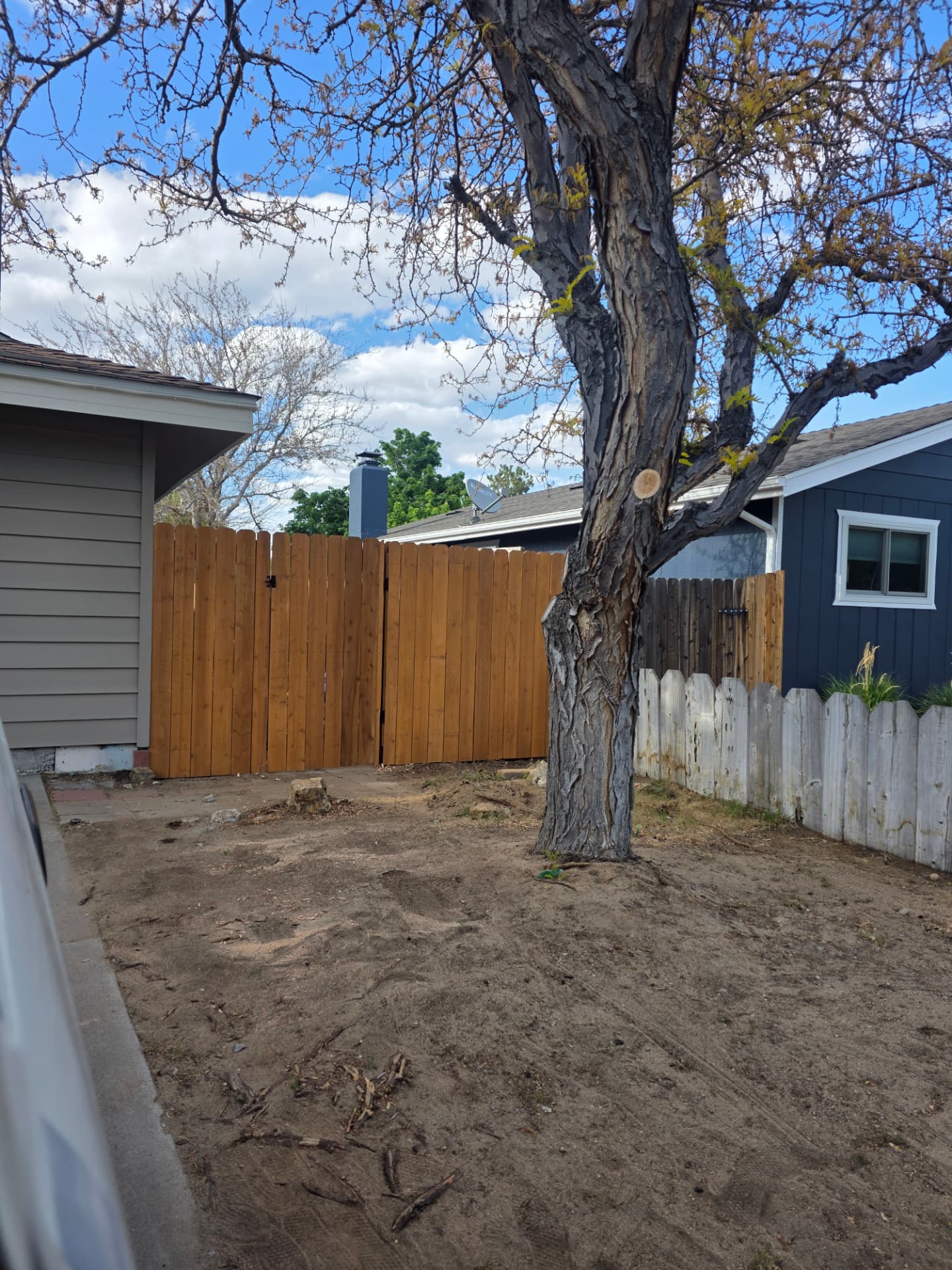 Newly built cedar privacy fence with a matching gate beside a mature tree